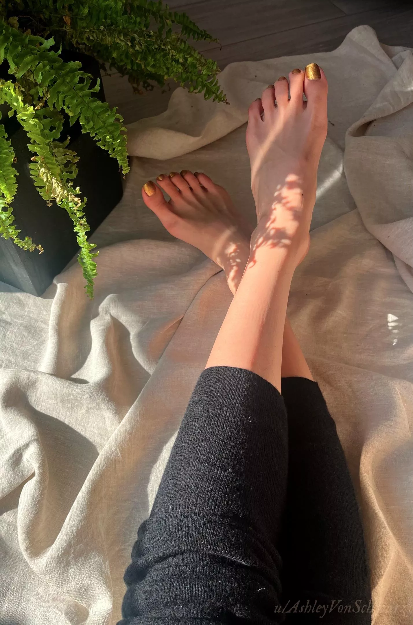 How this pose makes you feel? ❤️‍🔥 posted by AshleyVonSchwarz