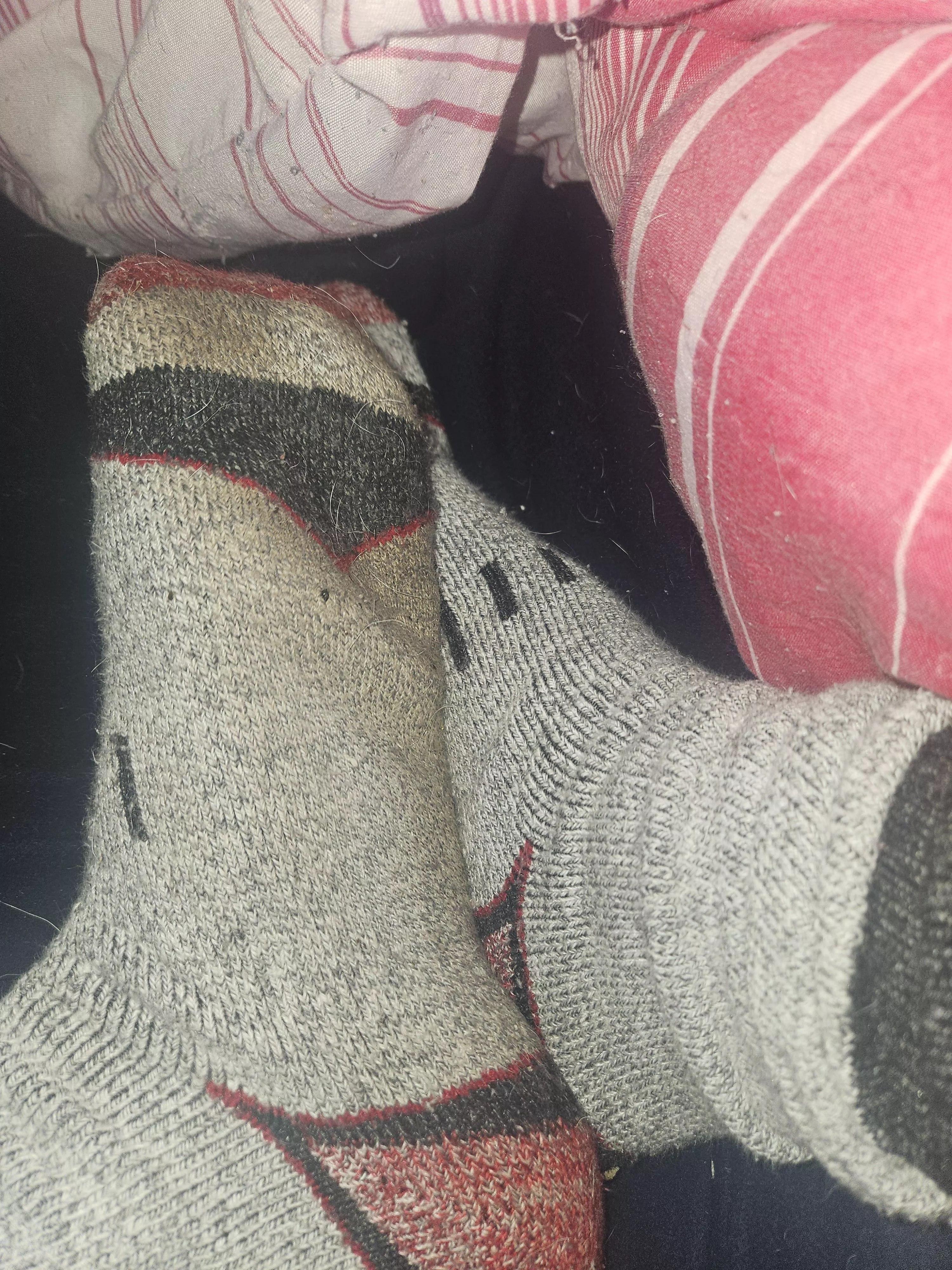 How's everyone doing today? posted by qtbabybunnygirl