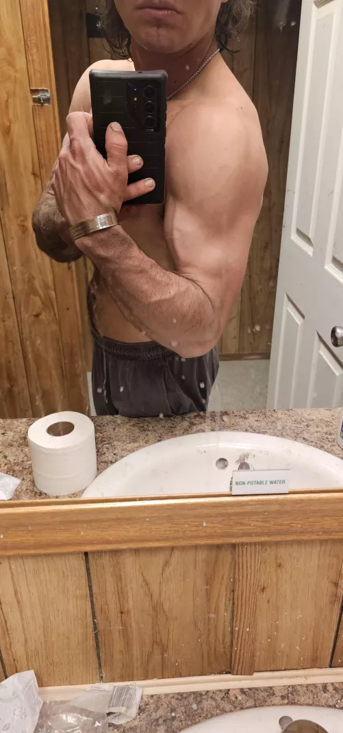 I hope my bluecollar forearms are acceptable by Kooky-Ring1535