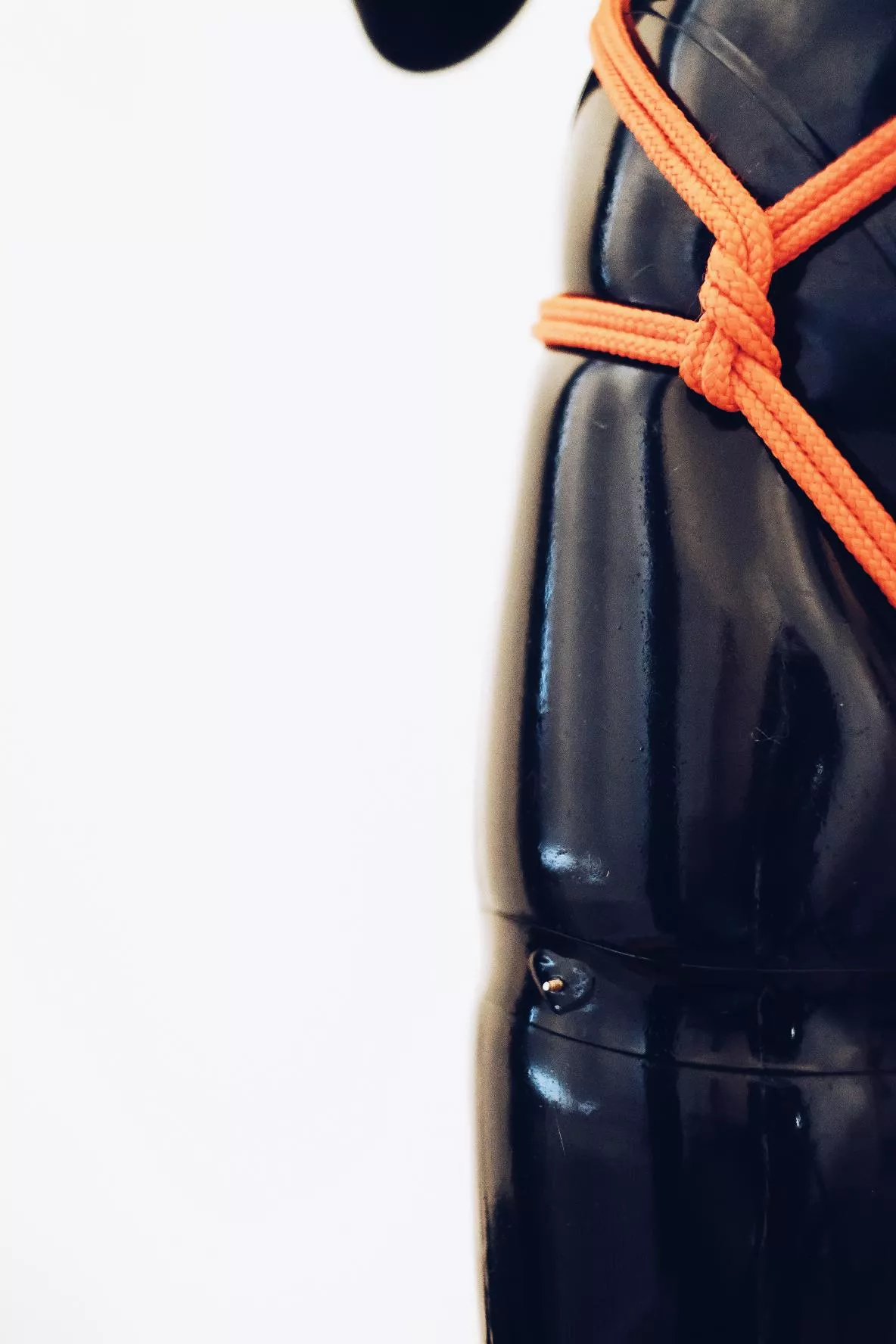 I love the skindentation this rope harness gives me! posted by frauwke