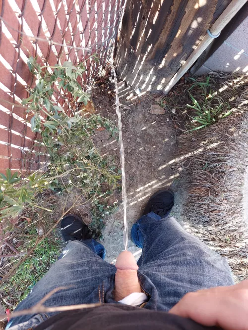 In my buddy's back yard by Homo_gone_wild