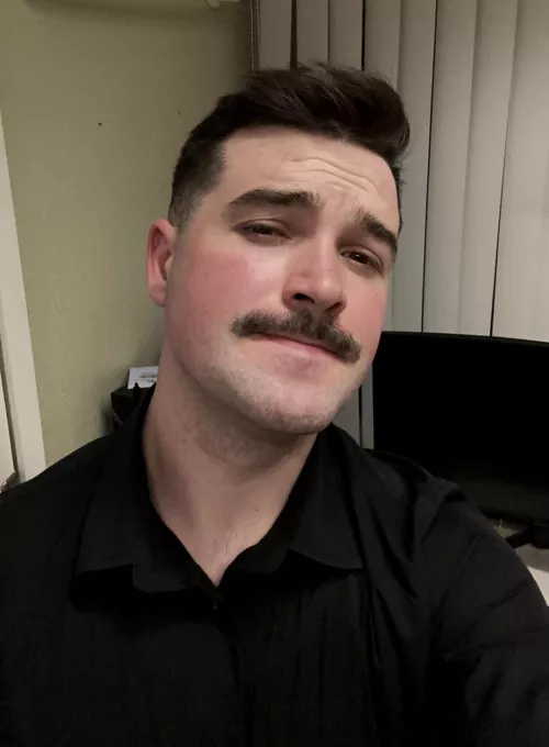 Lazy Sunday at the bureau, how’s yours going? by Upbeat-Business9823