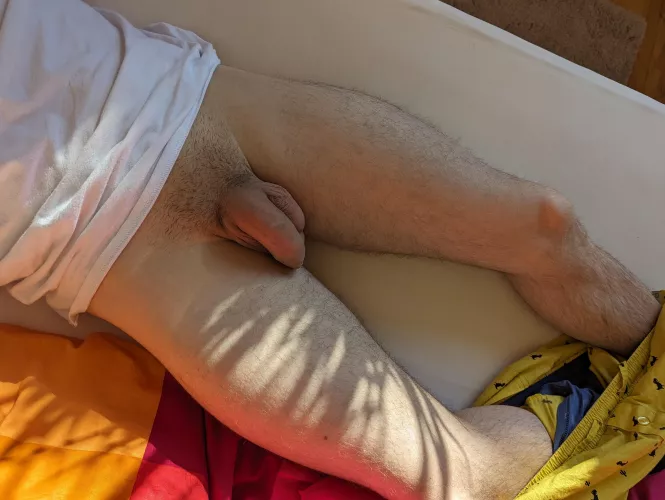 morning softie after first night of drinking in 2024 by cecavec