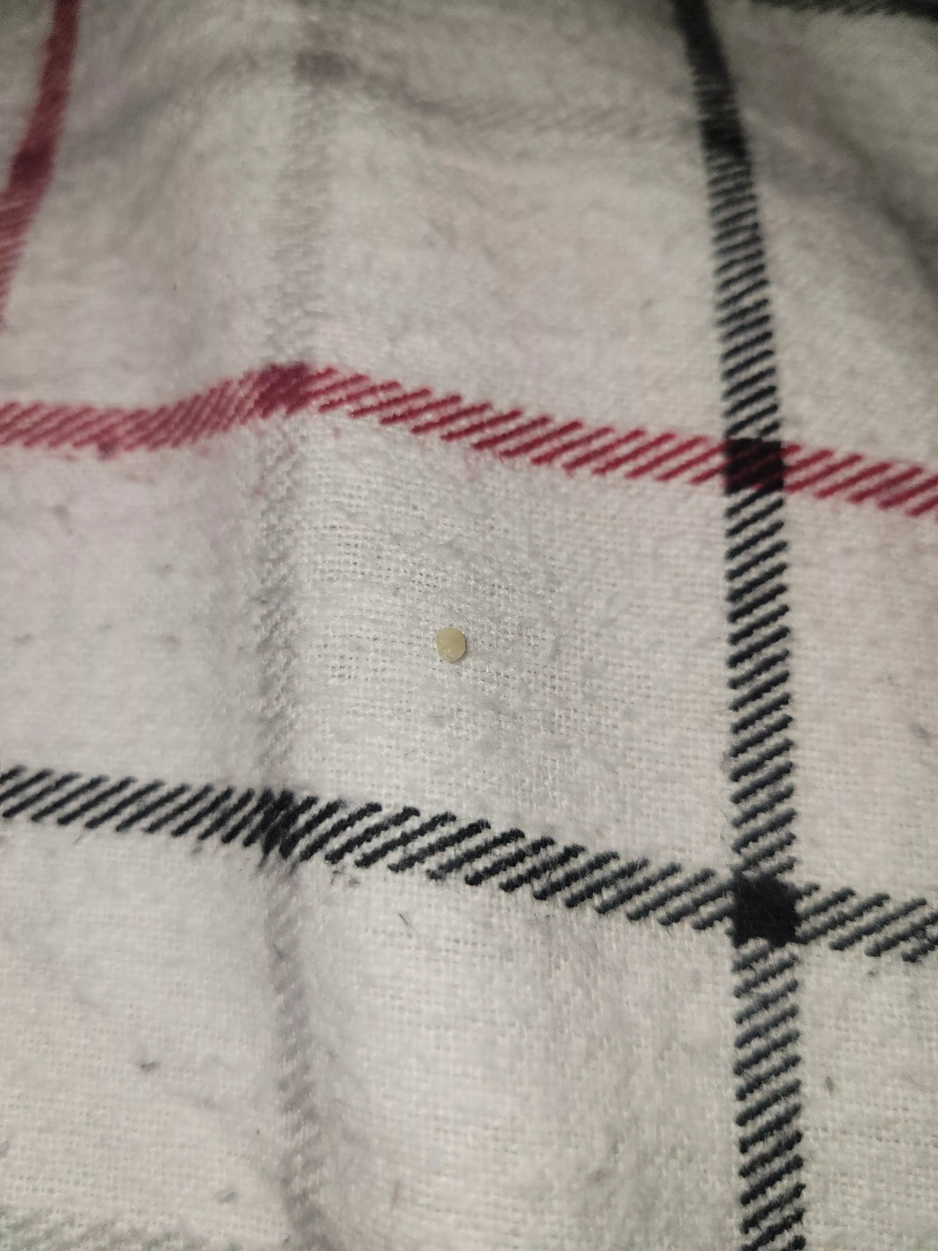 My new best friend... posted by Helpful-Sky4443