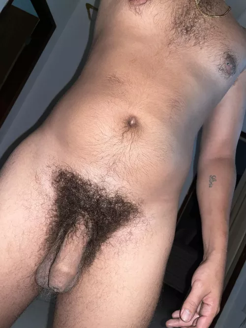 My soft cock and my bush by Western-Ad-7803