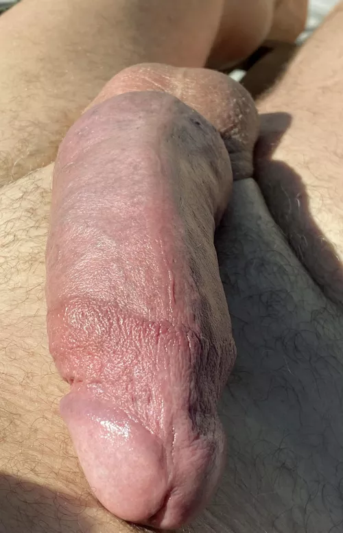 Sunny afternoon by happy-2-be-alive