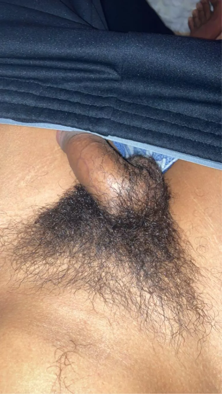 Thoughts on my pubes? posted by foldingfolding