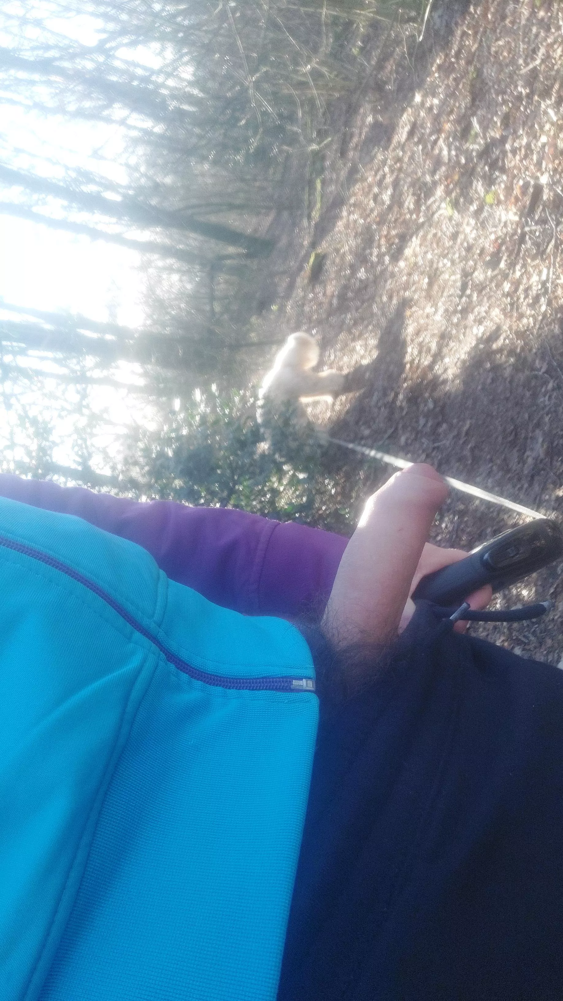 Walking the dog dm for more posted by waffiebein