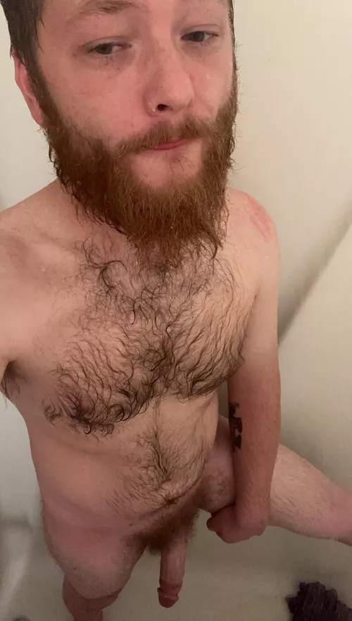 31 come on in by savagewolfb