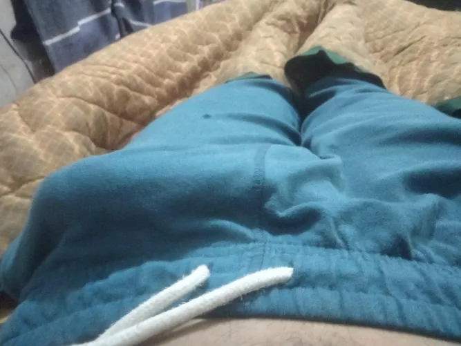 Can you guess how big it is. by haleluyahha