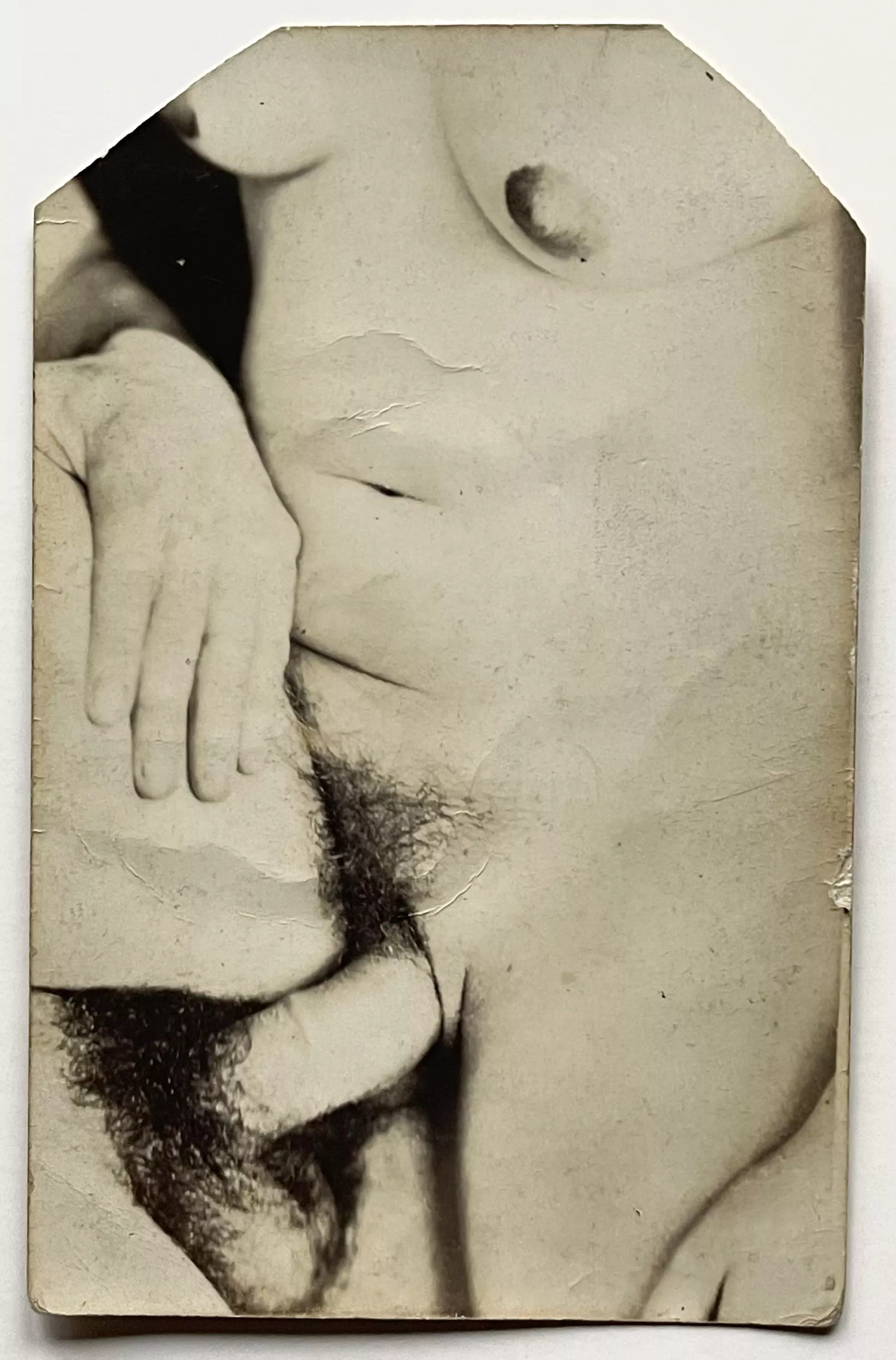 Close-Up posted by ahilava