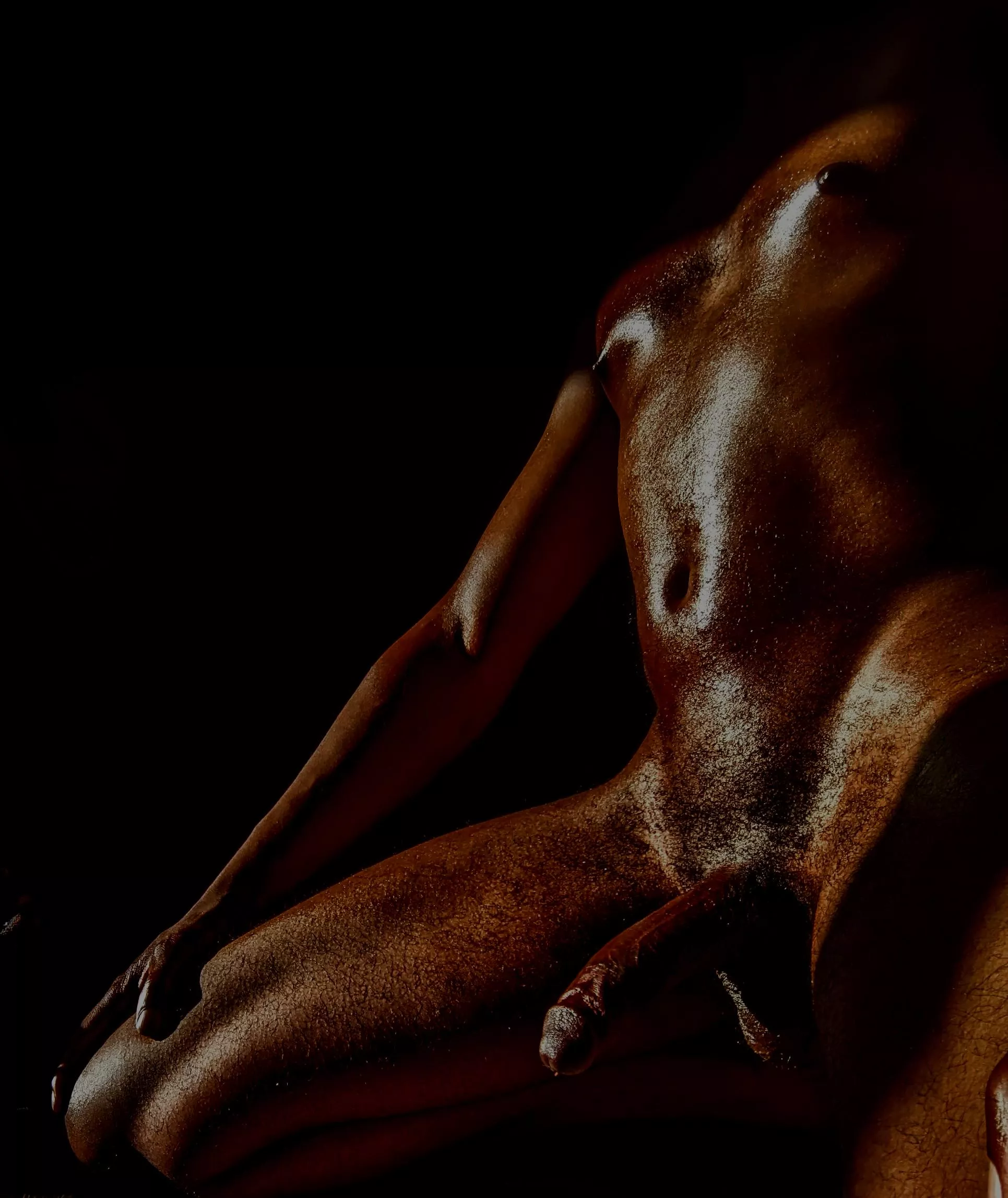 Co(m)plete Darkness; Practicing Predatory Patience posted by DarXydeDisplayofDom