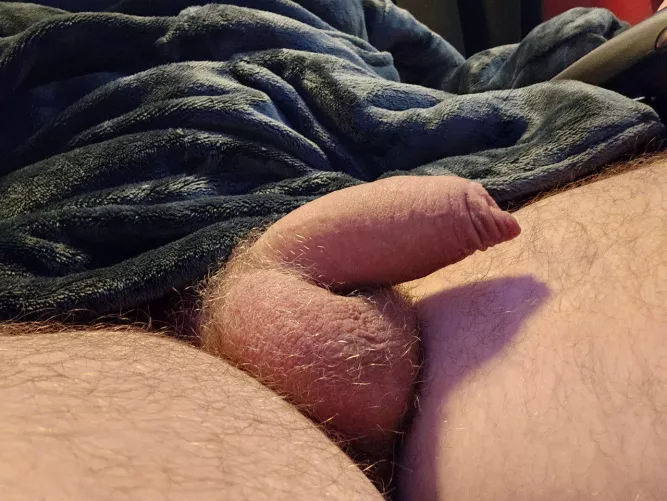 Growing my bush back, suck my hairy balls? by Glad_Ad_4606