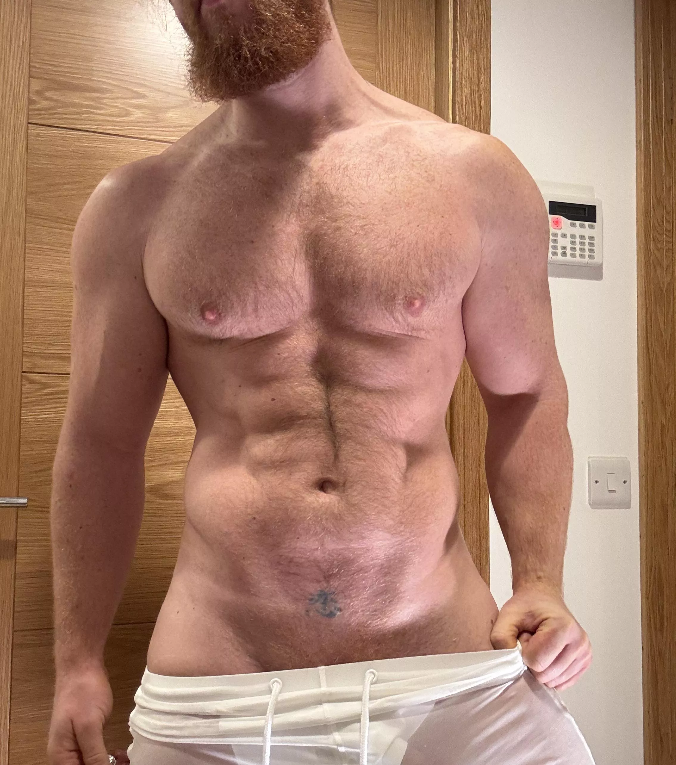 I’ll not tolerate any disobedience. Get on your knees and be ready for Daddy’s monster! posted by Bearded_alpha1