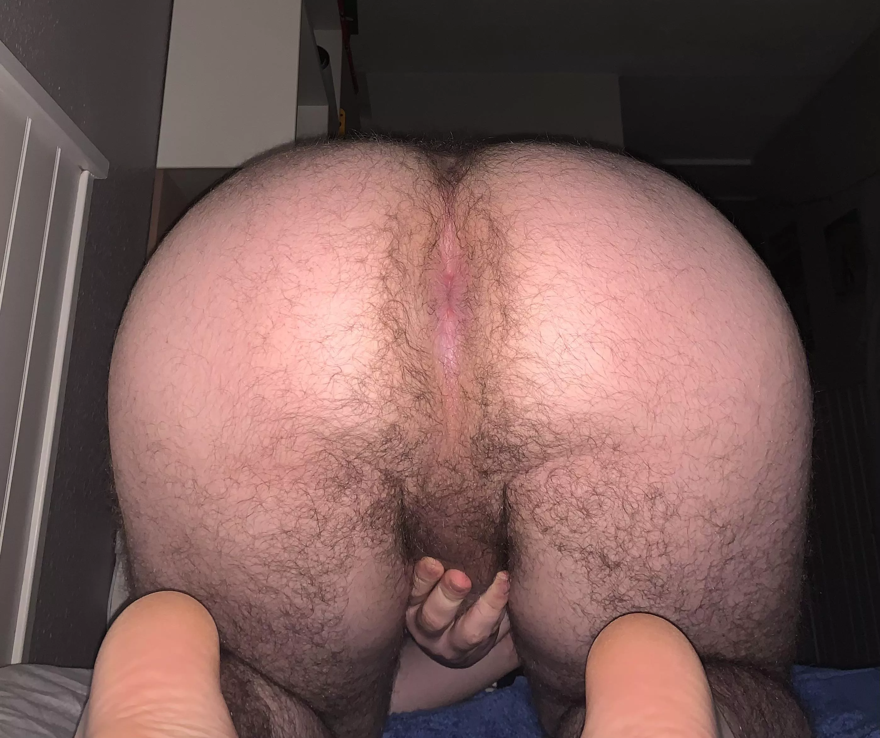 Is it too big ? posted by _hosh_