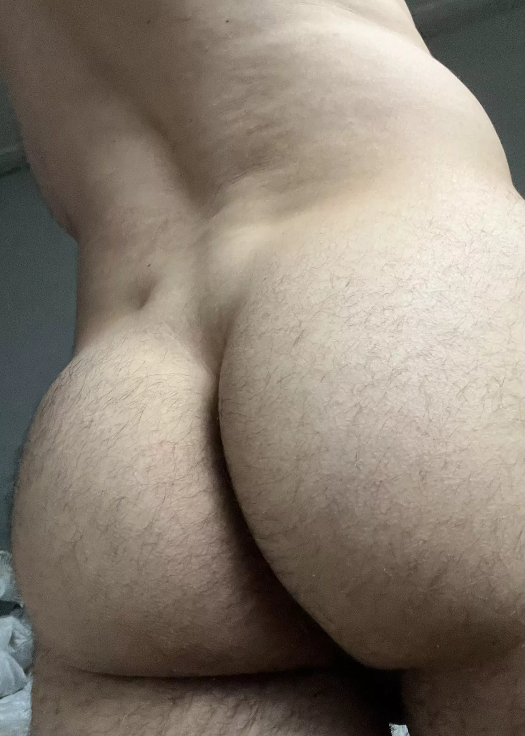 Is it too hairy? posted by isitmeordead