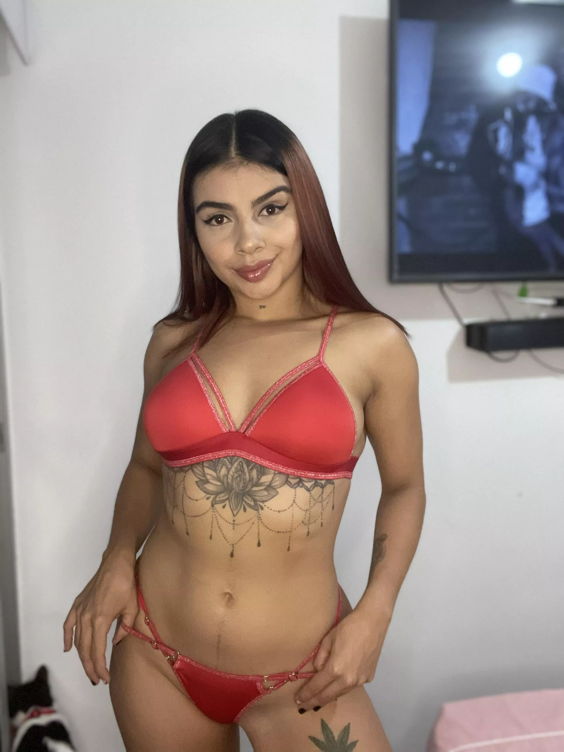 Just bought this new lingerie how do I look posted by WhollyObtainable