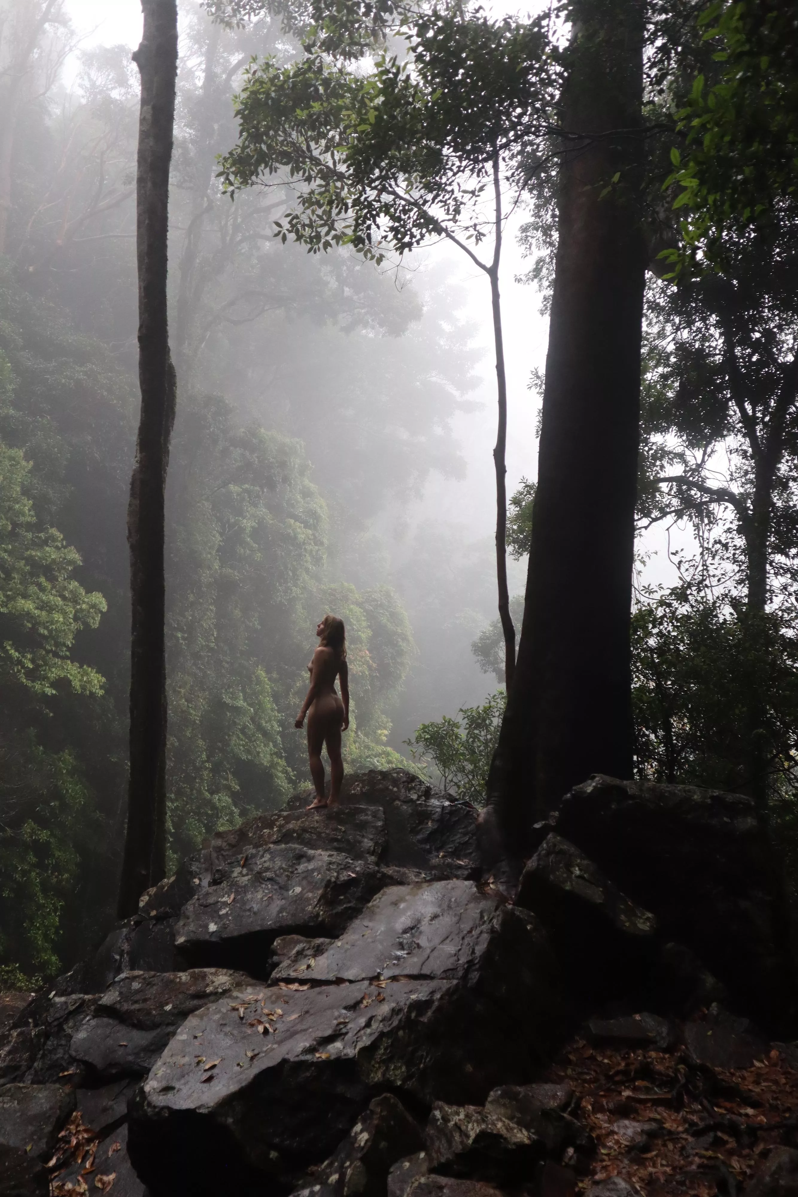 Misty mornings in the rain forest posted by Rileyjademodel