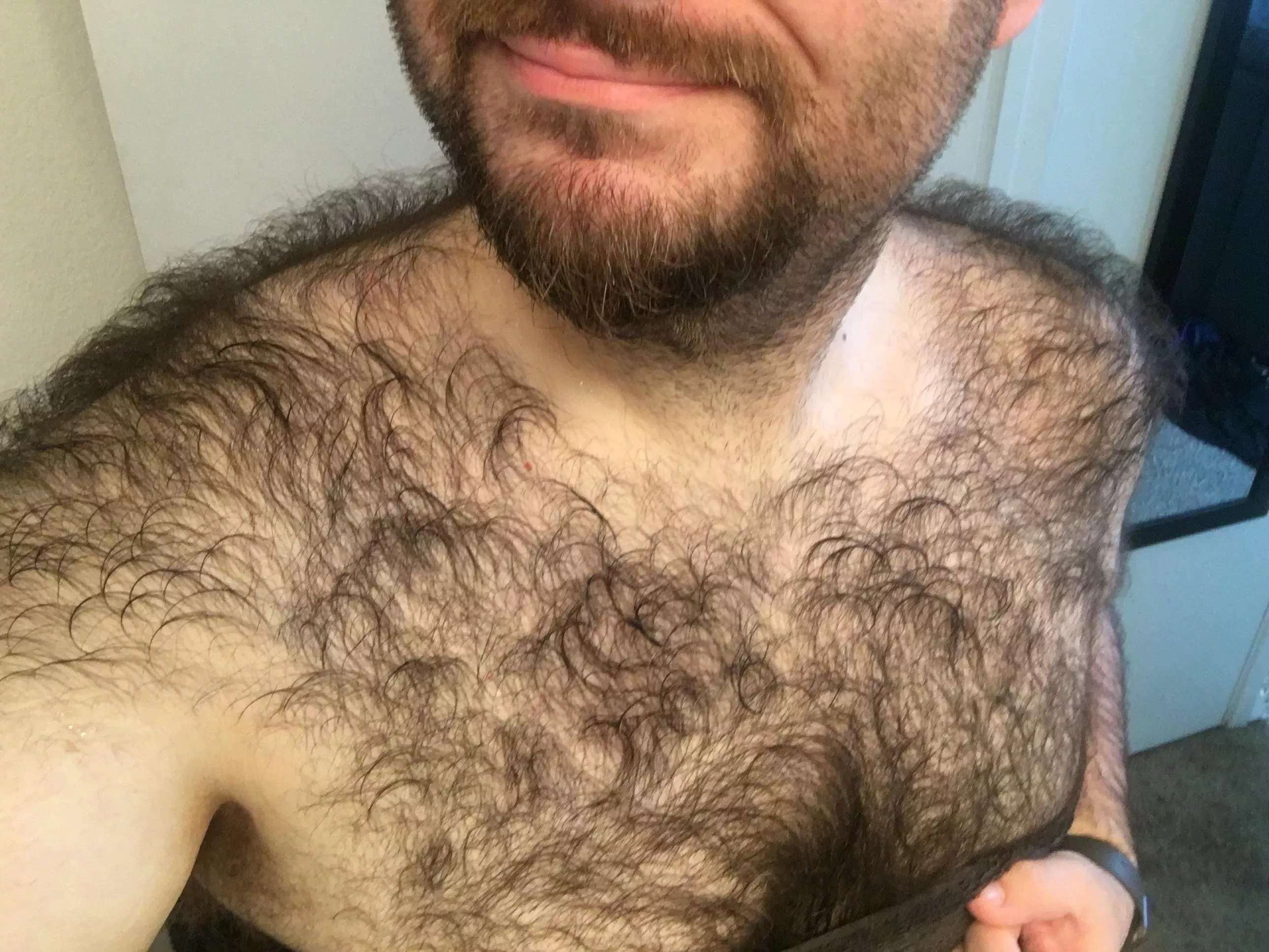 My winter coat, I buzz it in the summer. posted by norcalcub