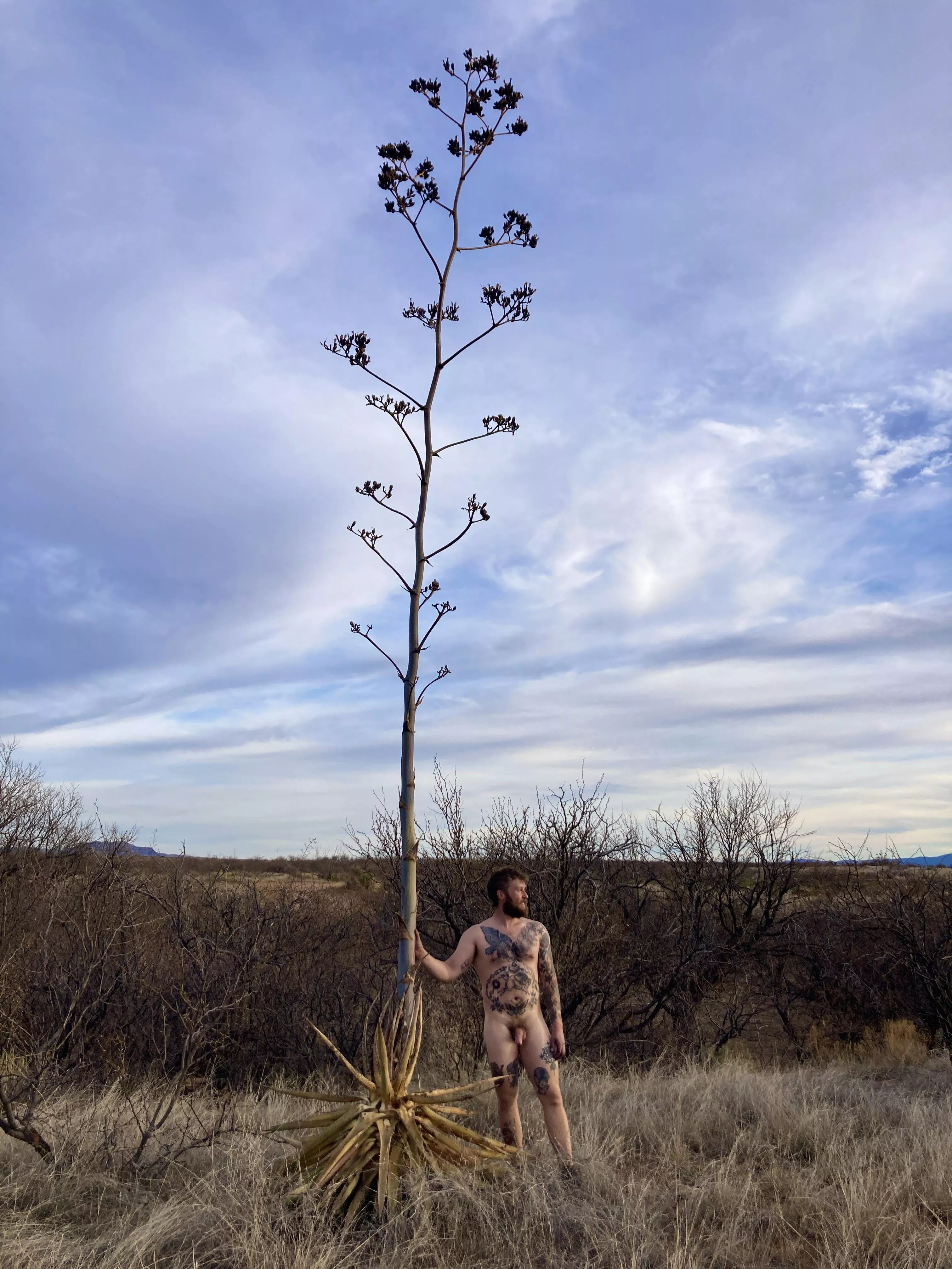 Next to my favorite plant posted by MrDugeHick_