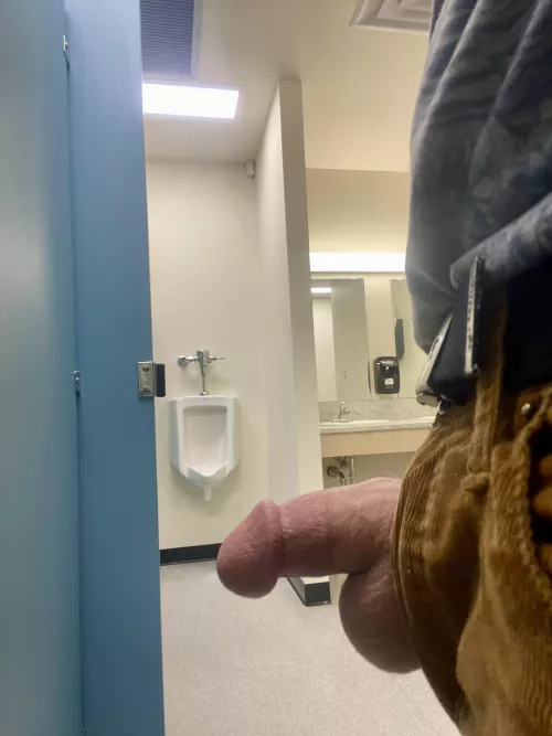 Rate cock in the work bathroom by Cariboostoner