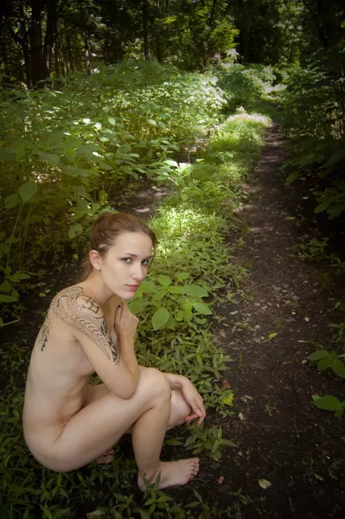 Shy little forest fawn by digitalcitizenalpha