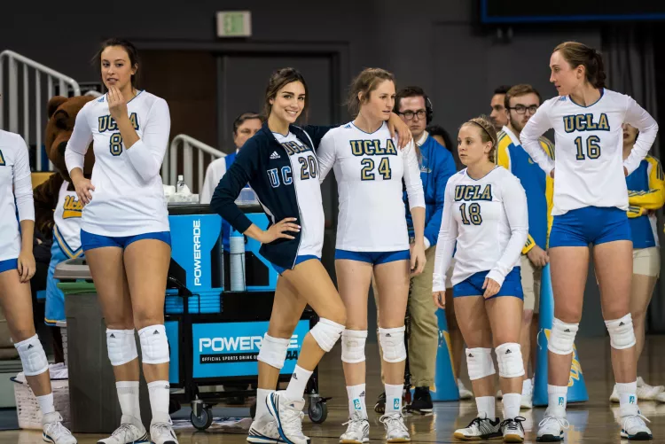 which tree you climbing? by CadoganWest