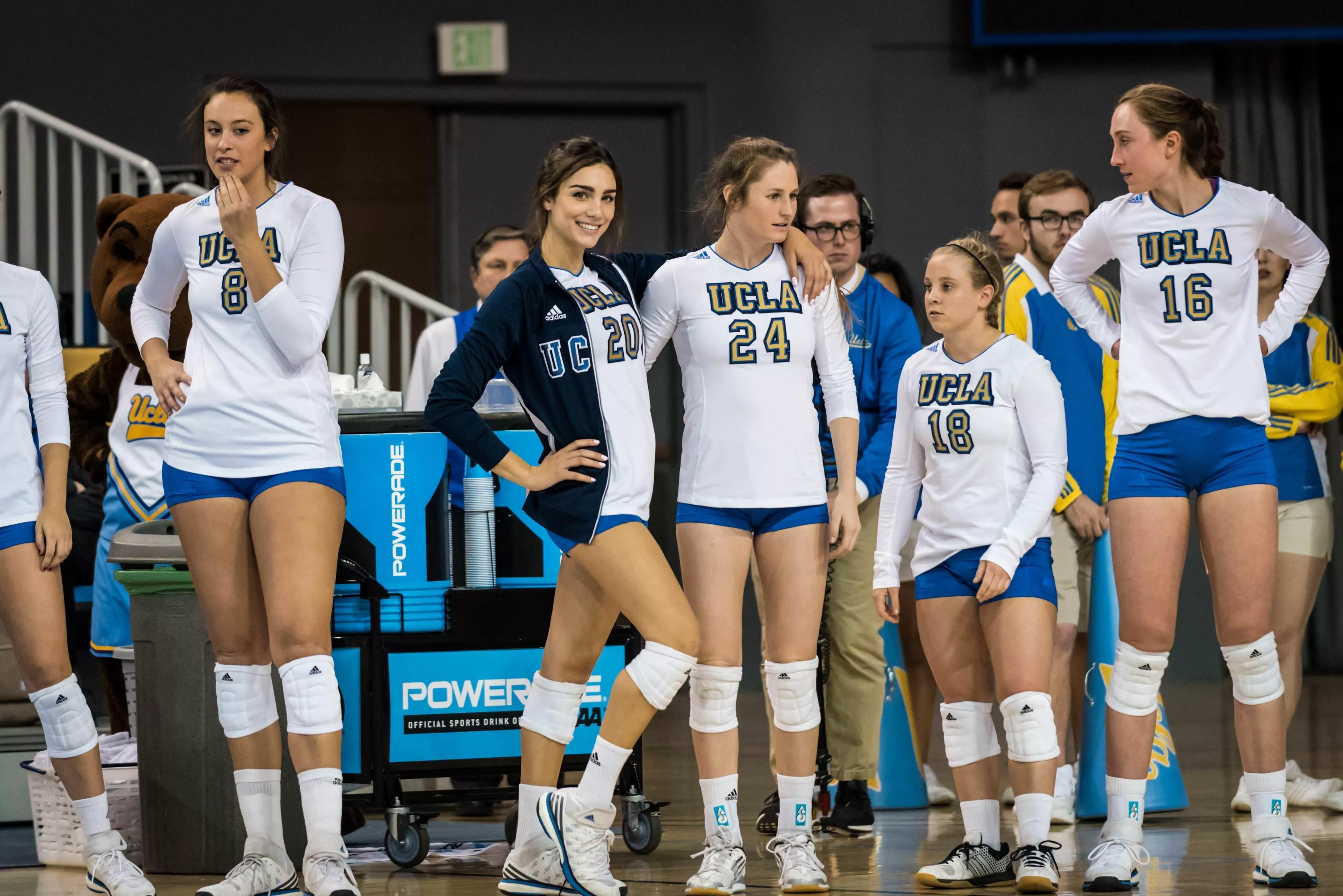 which tree you climbing? posted by CadoganWest