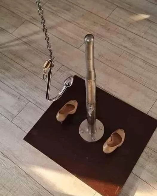 would be allowed to sit on this device of mine posted by diksi1984