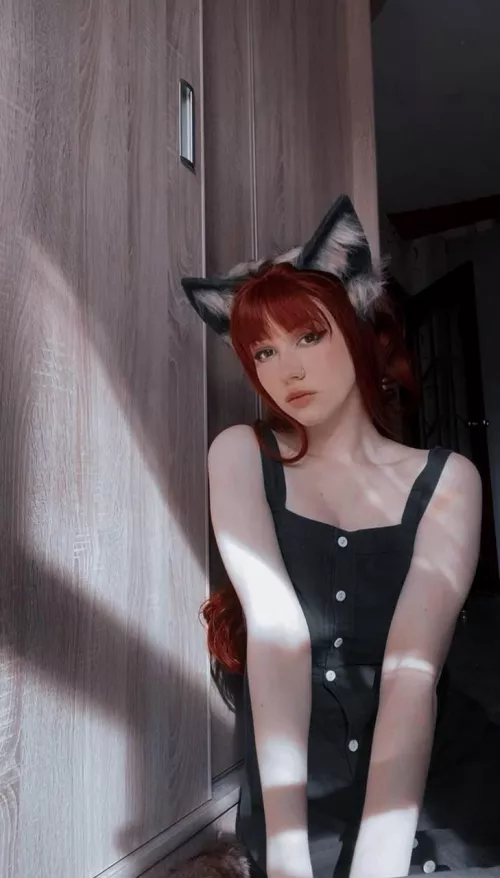 a cat or a fox? by Luna_foxie