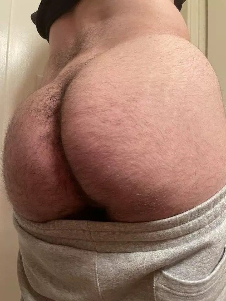 Breed me? posted by ApprehensiveEbb9