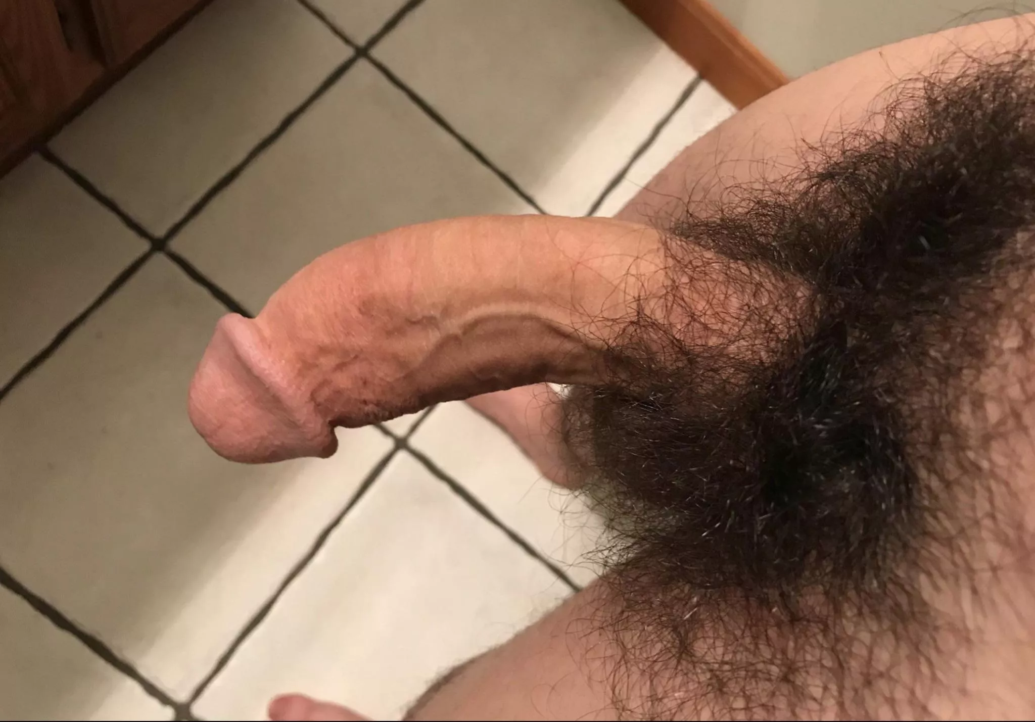Full bush posted by subg20