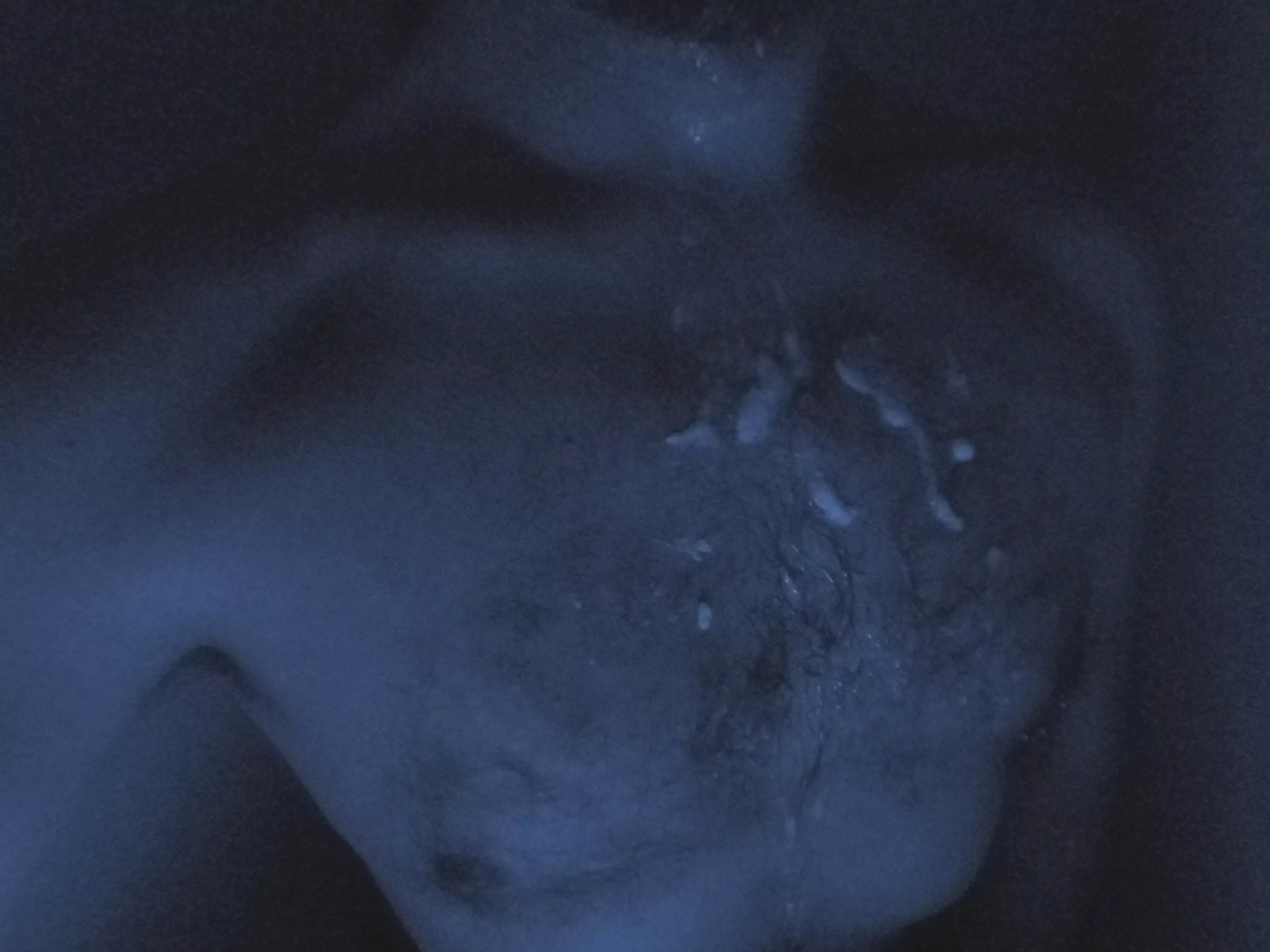 Guess how many loads I got 😛 posted by throwaway1324364