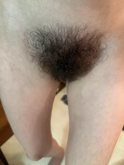 Here’s my wet hair by draconia777