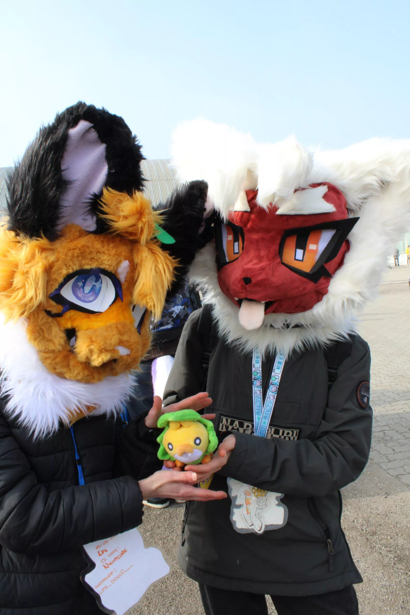 I just love this photo posted by __lime_doggo__