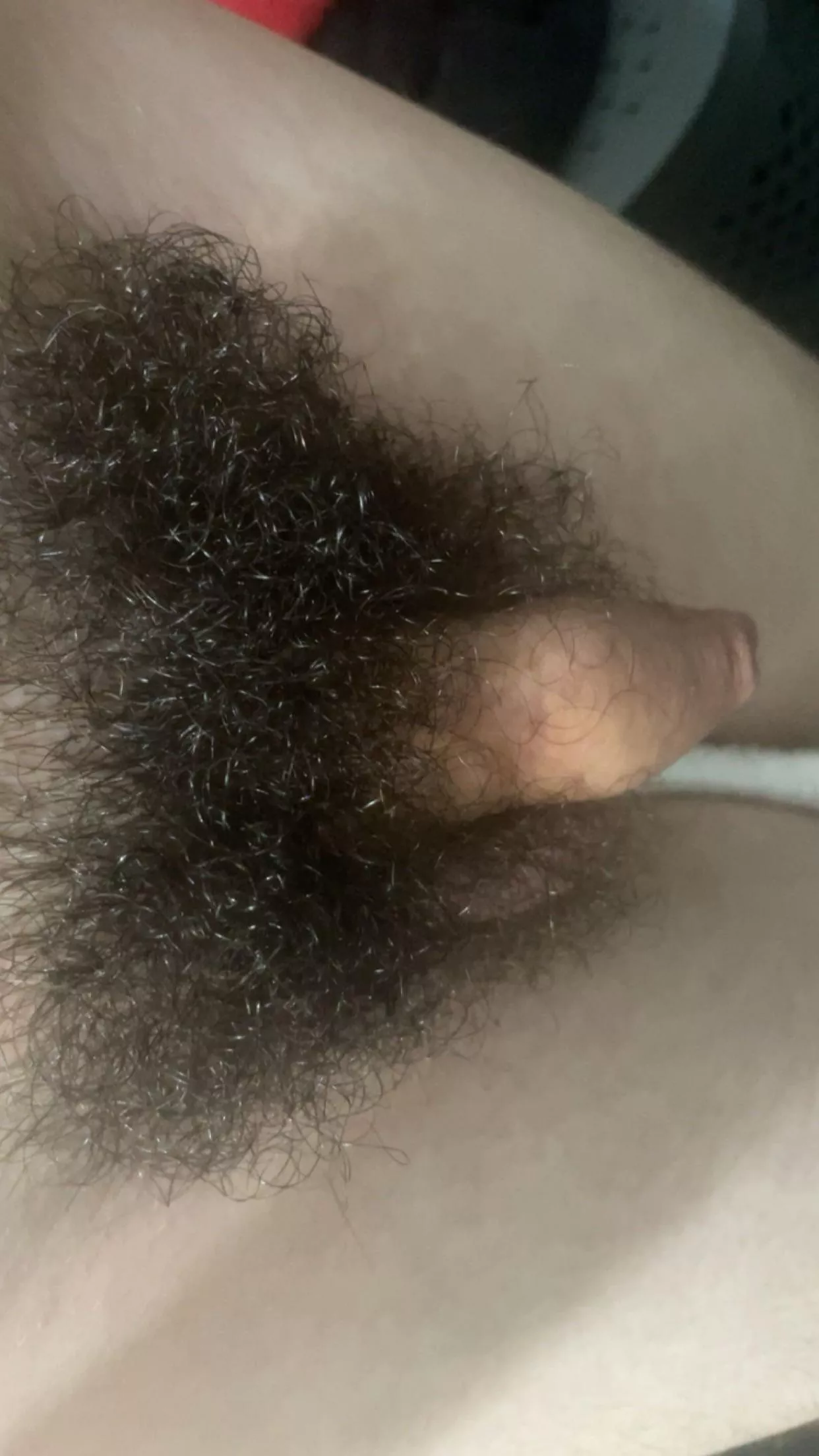 natural softie posted by No-Traffic1716