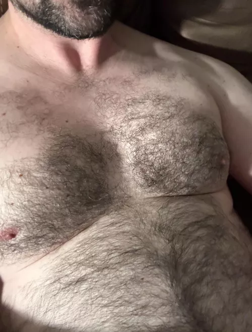 Who needs some fur tonight? by mountainfur38