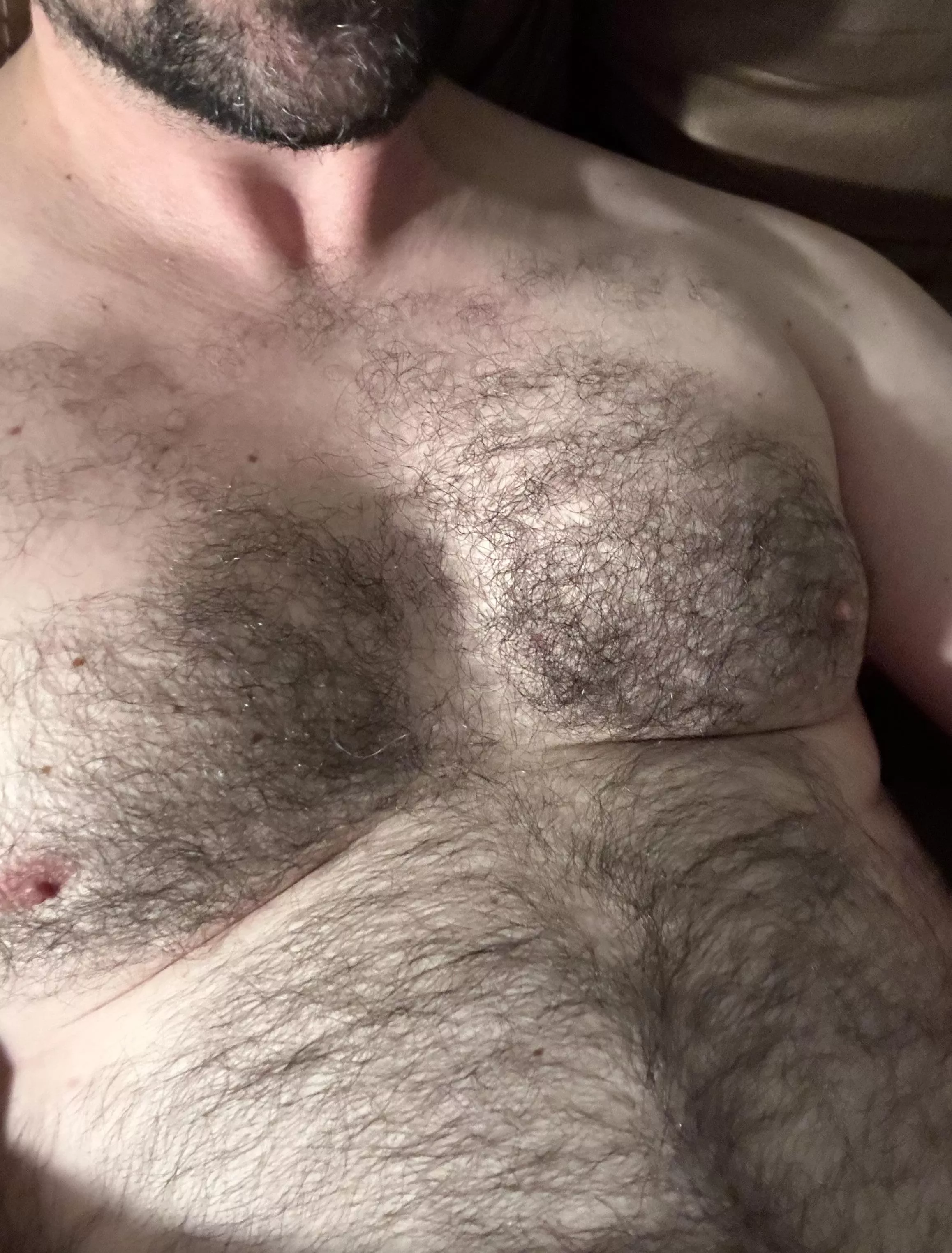 Who needs some fur tonight? posted by mountainfur38