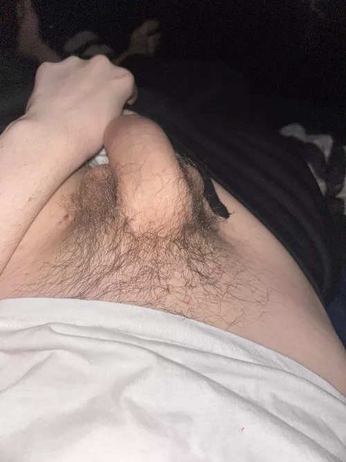 whos gonna help me by Purple_Seaweed5296