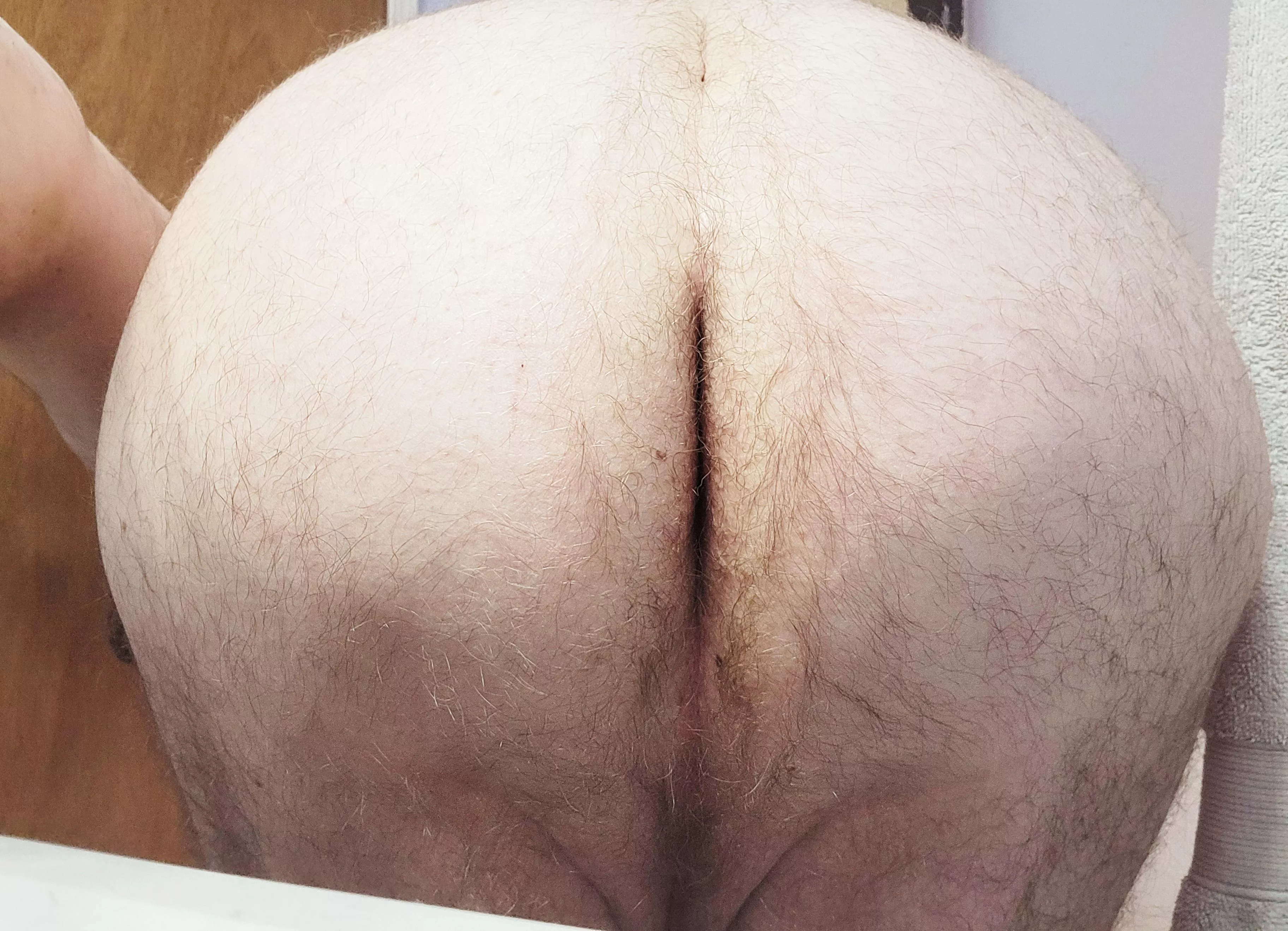 32 cockhungry sub bottom looking to chat. Dm's open. posted by Capital_Candidate_50