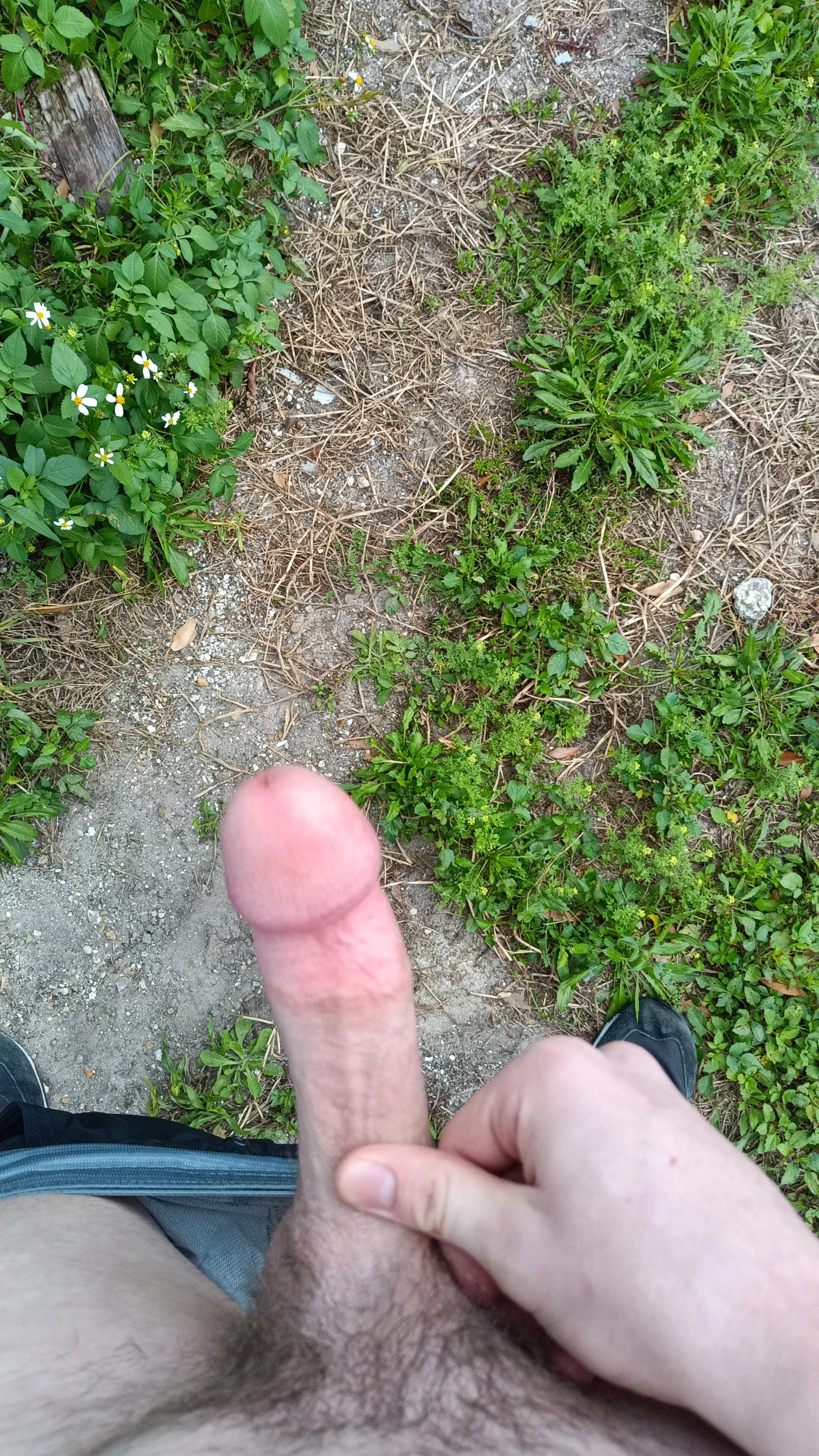 A little cold out today posted by Ok-Estimate-5788