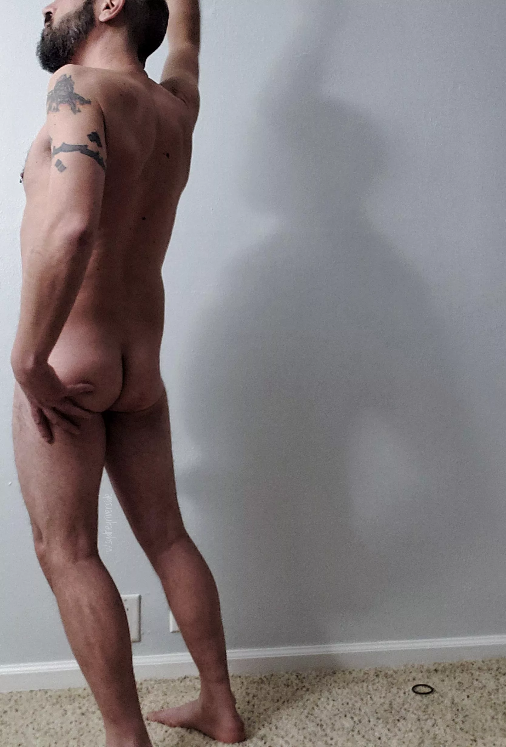 Ass Wednesday. That is all. posted by SydneyRiverside