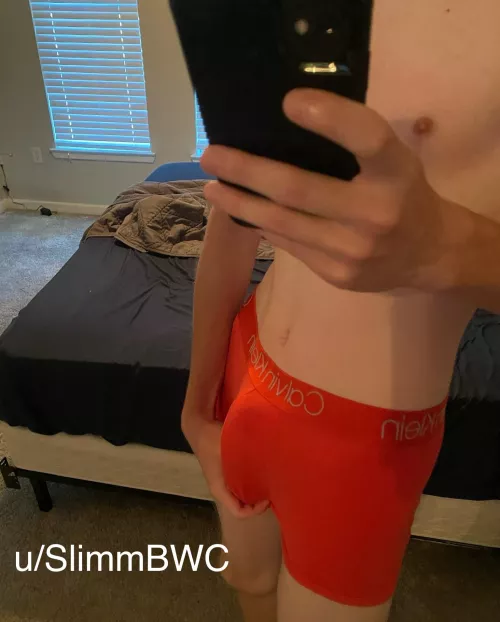 Concealed carry by slimmBWC