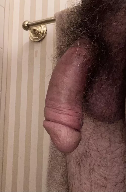 Feeling kinda furry! by Realistic-1880