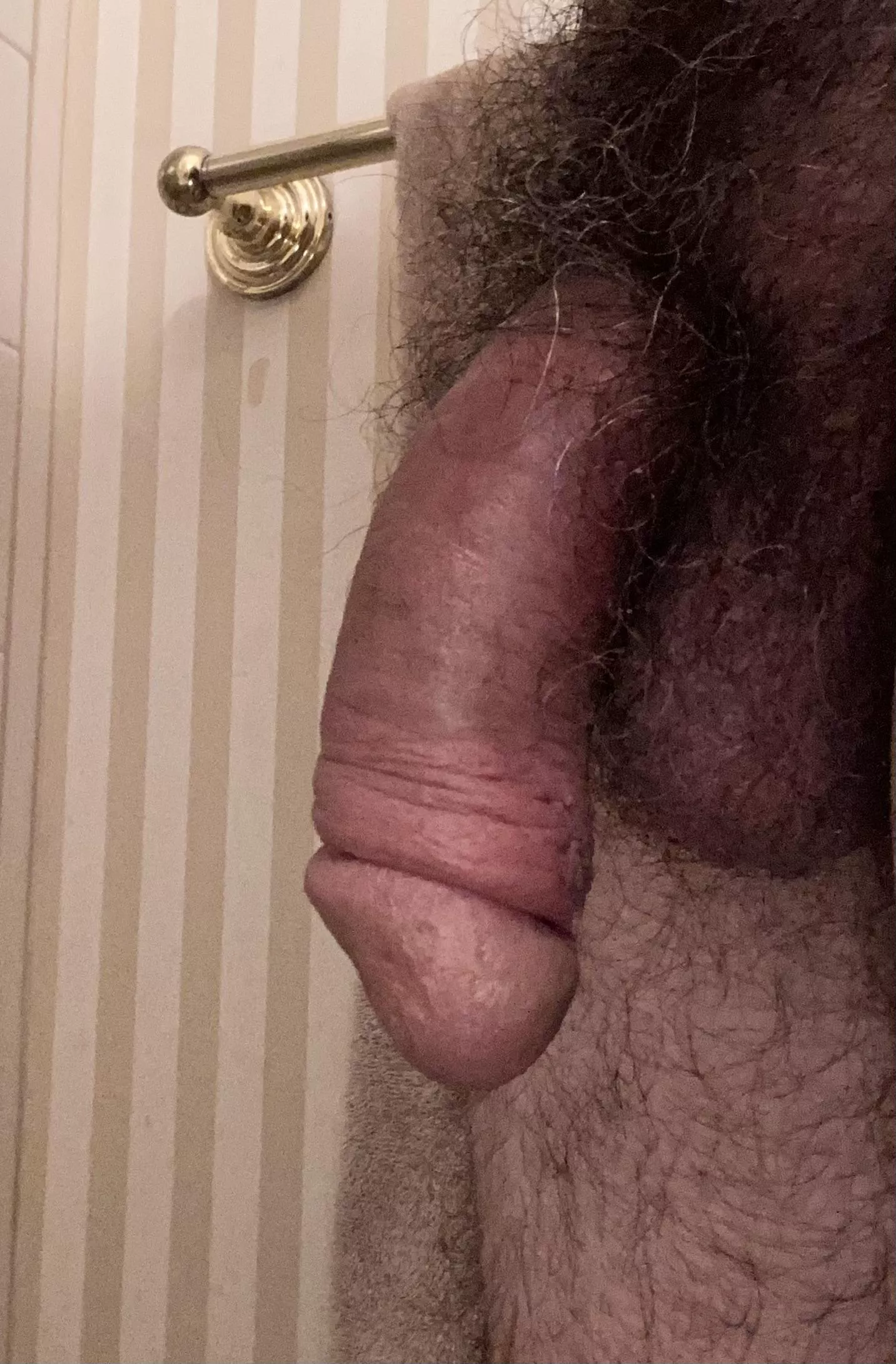 Feeling kinda furry! posted by Realistic-1880