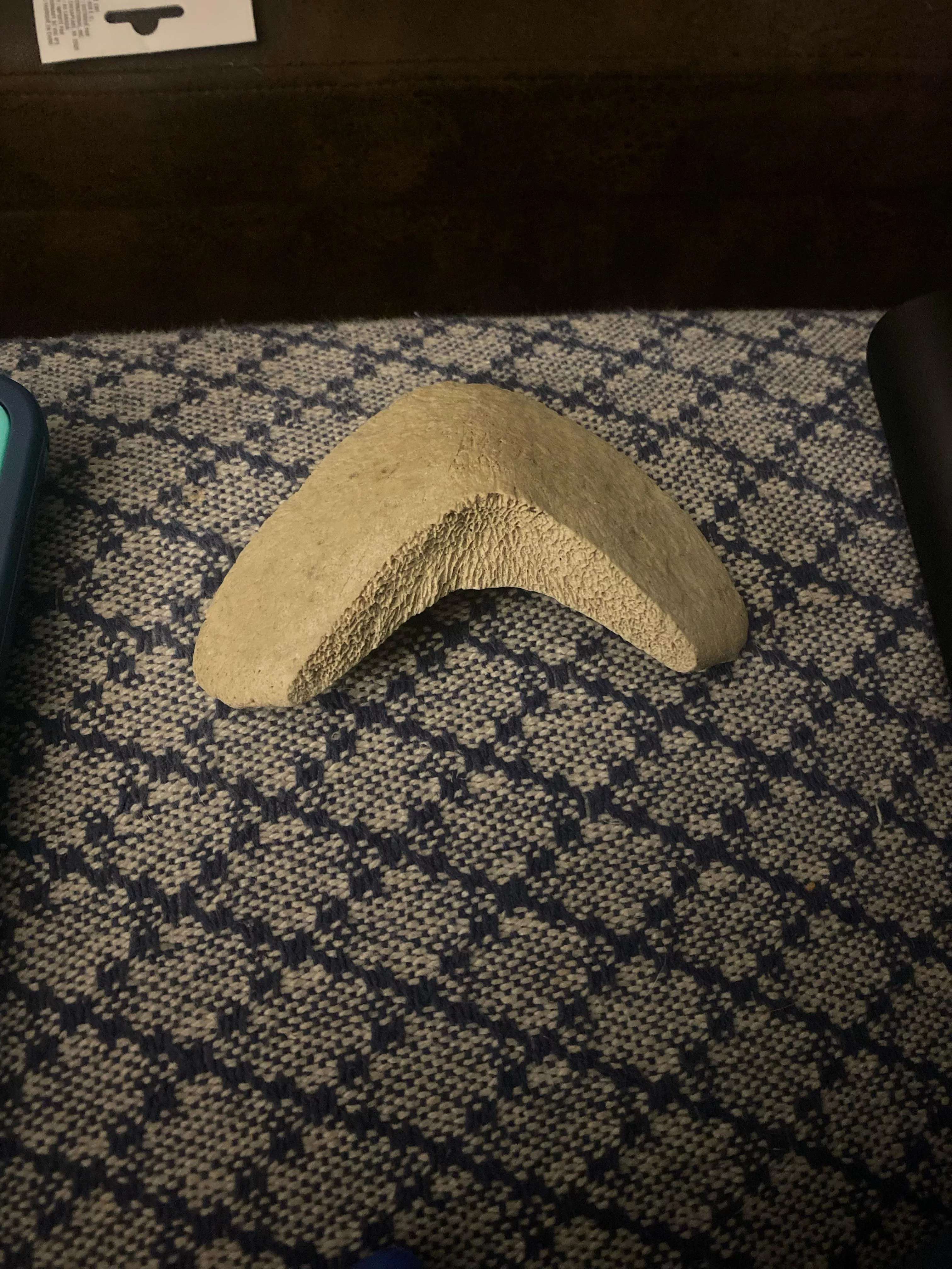 found this at the beach, any idea what it is? posted by AdeptLeg7808