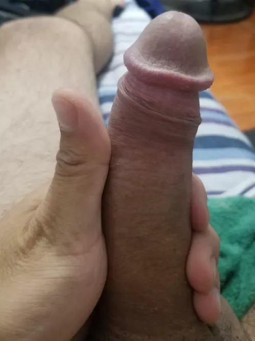 Hi I' m new by goxx-_-