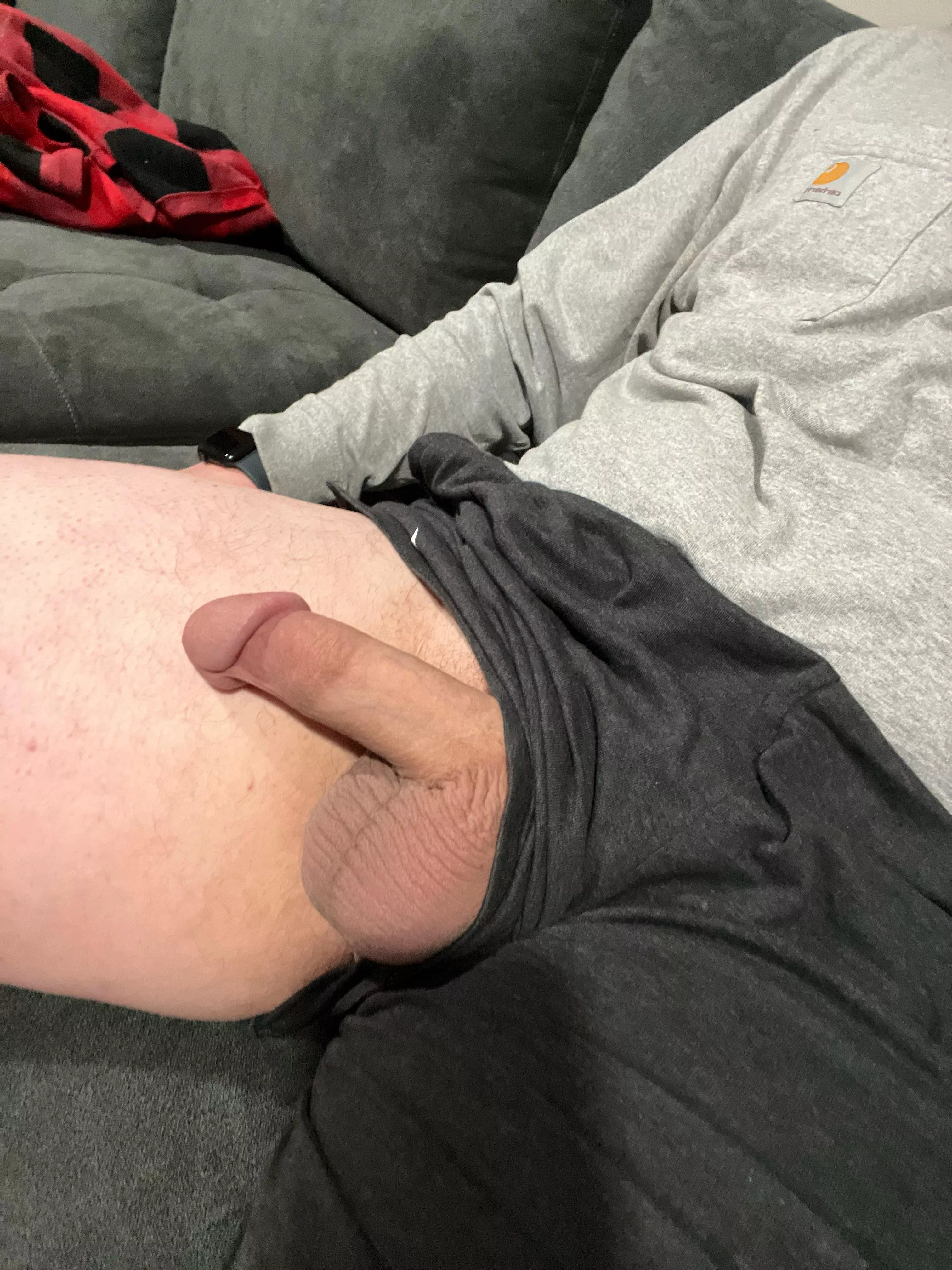 I love wearing shorts posted by Zealousideal_Poem_52