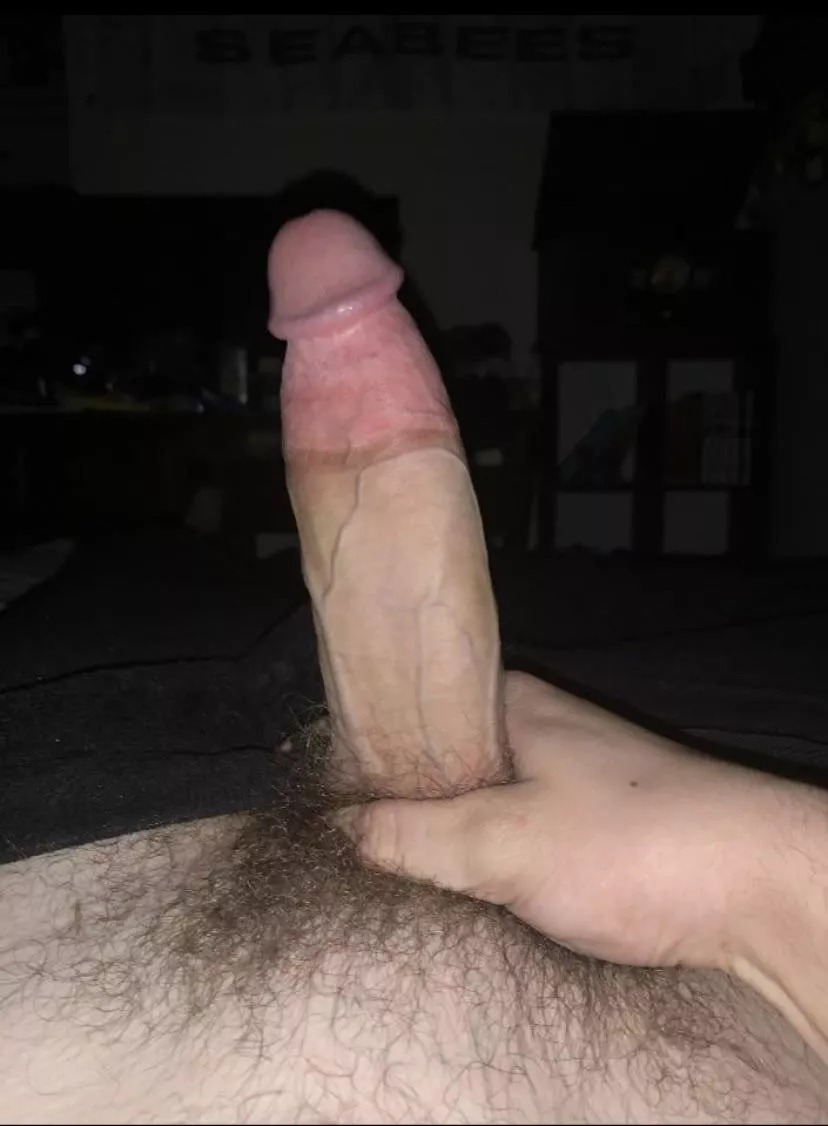 I’m bored anyone wanna chat? posted by Such_Quality_3672