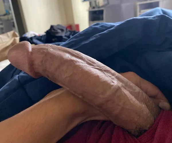 Male or female would you sit on it? by Hungboy619